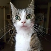sticker image #20