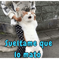 sticker image #13