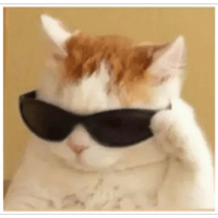sticker image #22