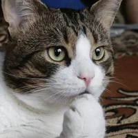 sticker image #23