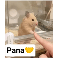 sticker image #24