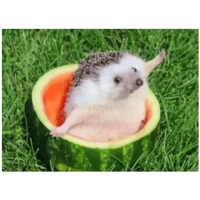 sticker image #25