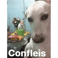 sticker image #18