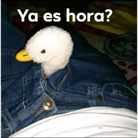 sticker image #8