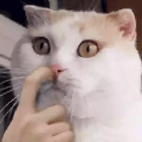 sticker image #13