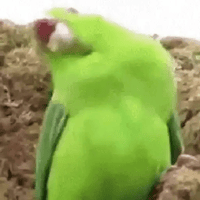 sticker image #22
