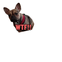 sticker image #19