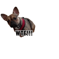 sticker image #21