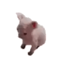 sticker image #15