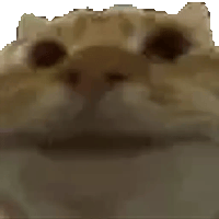 sticker image #3