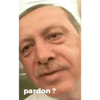 sticker image #14