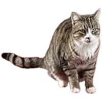 sticker image #1