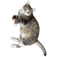 sticker image #2
