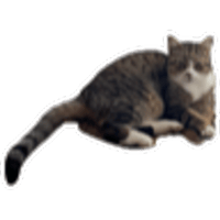 tray_icon