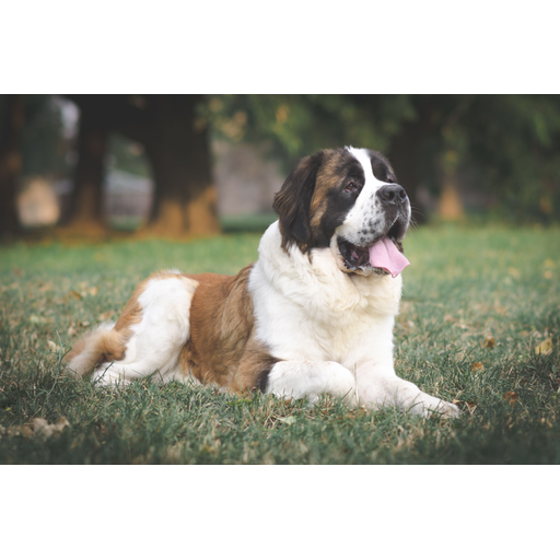 tray_icon #122245 sticker_pack