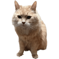 sticker image #1