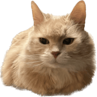 sticker image #2