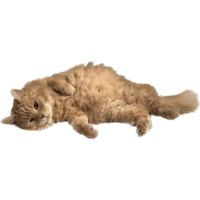 sticker image #3