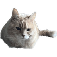 sticker image #4