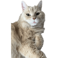 sticker image #5