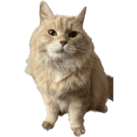sticker image #6