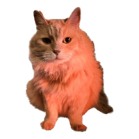 sticker image #7
