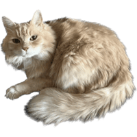 sticker image #8