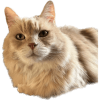 sticker image #9