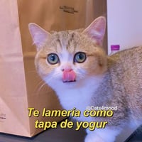 sticker image #1