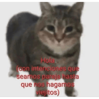 sticker image #10