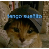 sticker image #13
