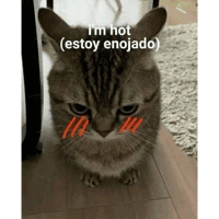 sticker image #7