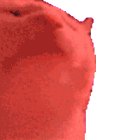 sticker image #1
