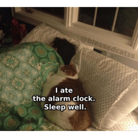 sticker image #30