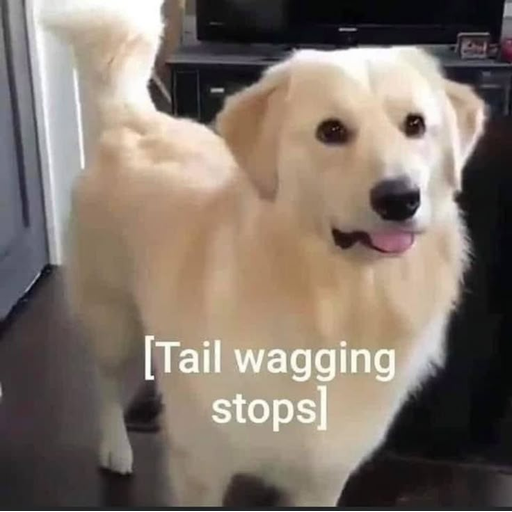 tray_icon #129198 sticker_pack