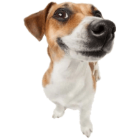 sticker image #13