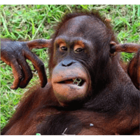 sticker image #19