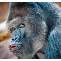 sticker image #21