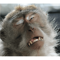 sticker image #22