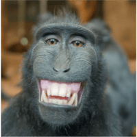 sticker image #24
