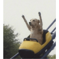 sticker image #9