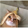 tray_icon