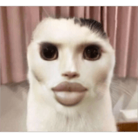 sticker image #29