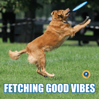 sticker image #12