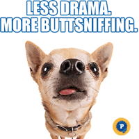 sticker image #13