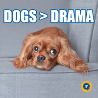 sticker image #17