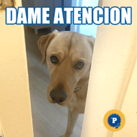 sticker image #28