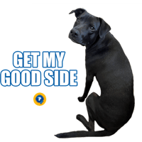 sticker image #30