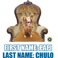 sticker image #7
