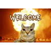 tray_icon #125053 sticker_pack